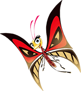dual-col-extra-butterfly.png